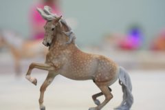 DSC01015-scaled