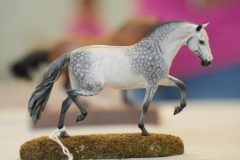 DSC01017-scaled