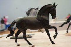 DSC01022-scaled