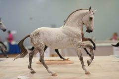 DSC01023-scaled