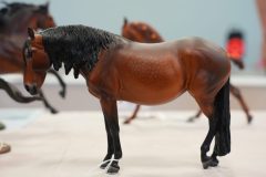 DSC01025-scaled