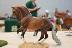 DSC01028-scaled