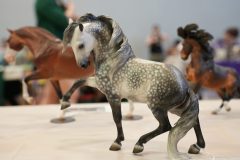 DSC01029-scaled