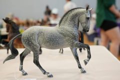 DSC01030-scaled
