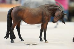 DSC01031-scaled