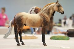 DSC01034-scaled