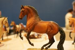 DSC01037-scaled