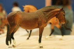 DSC01038-scaled
