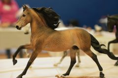 DSC01041-scaled