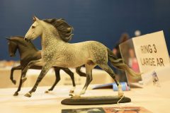 DSC01043-scaled
