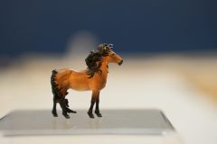DSC01049-scaled