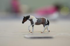 DSC01055-scaled