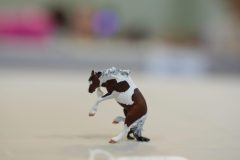 DSC01057-scaled