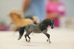 DSC01063-scaled