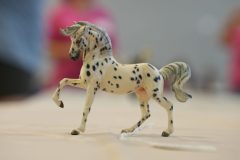 DSC01064-scaled