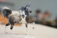 DSC01066-scaled