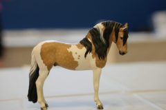 DSC01070-scaled