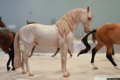 DSC01072-scaled