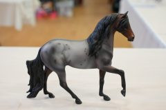 DSC01077-scaled