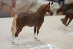 DSC01079-scaled