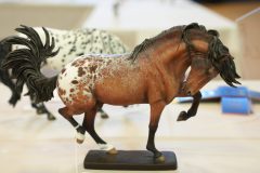 DSC01081-scaled
