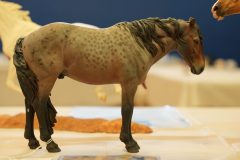 DSC01086-scaled