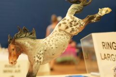 DSC01090-scaled