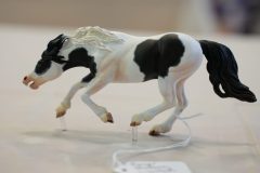 DSC01097-scaled