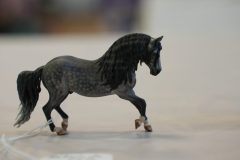 DSC01099-scaled