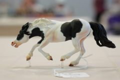 DSC01101-scaled