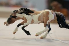 DSC01102-scaled