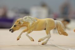 DSC01105-scaled