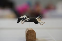 DSC01114-scaled