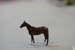 DSC01119-scaled