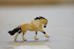 DSC01127-scaled