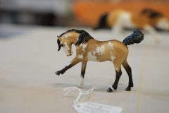 DSC01136-scaled
