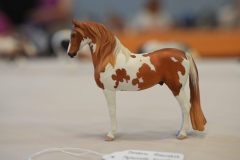 DSC01142-scaled