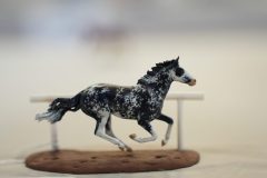 DSC01176-scaled