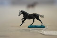 DSC01177-scaled