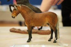 DSC01180-scaled