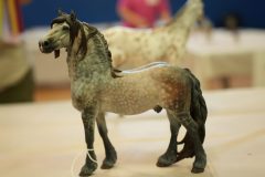 DSC01181-scaled