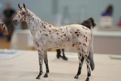 DSC01194-scaled
