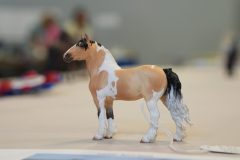 DSC01204-scaled