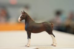 DSC01216-scaled
