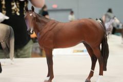 DSC01224-scaled