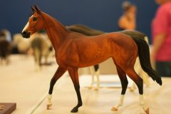 DSC01227-scaled