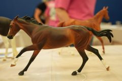 DSC01228-scaled