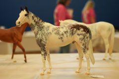 DSC01229-scaled