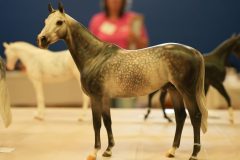 DSC01230-scaled