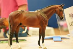 DSC01232-scaled